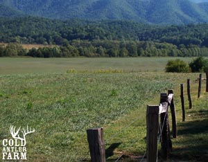 We're Not From Around Here Image